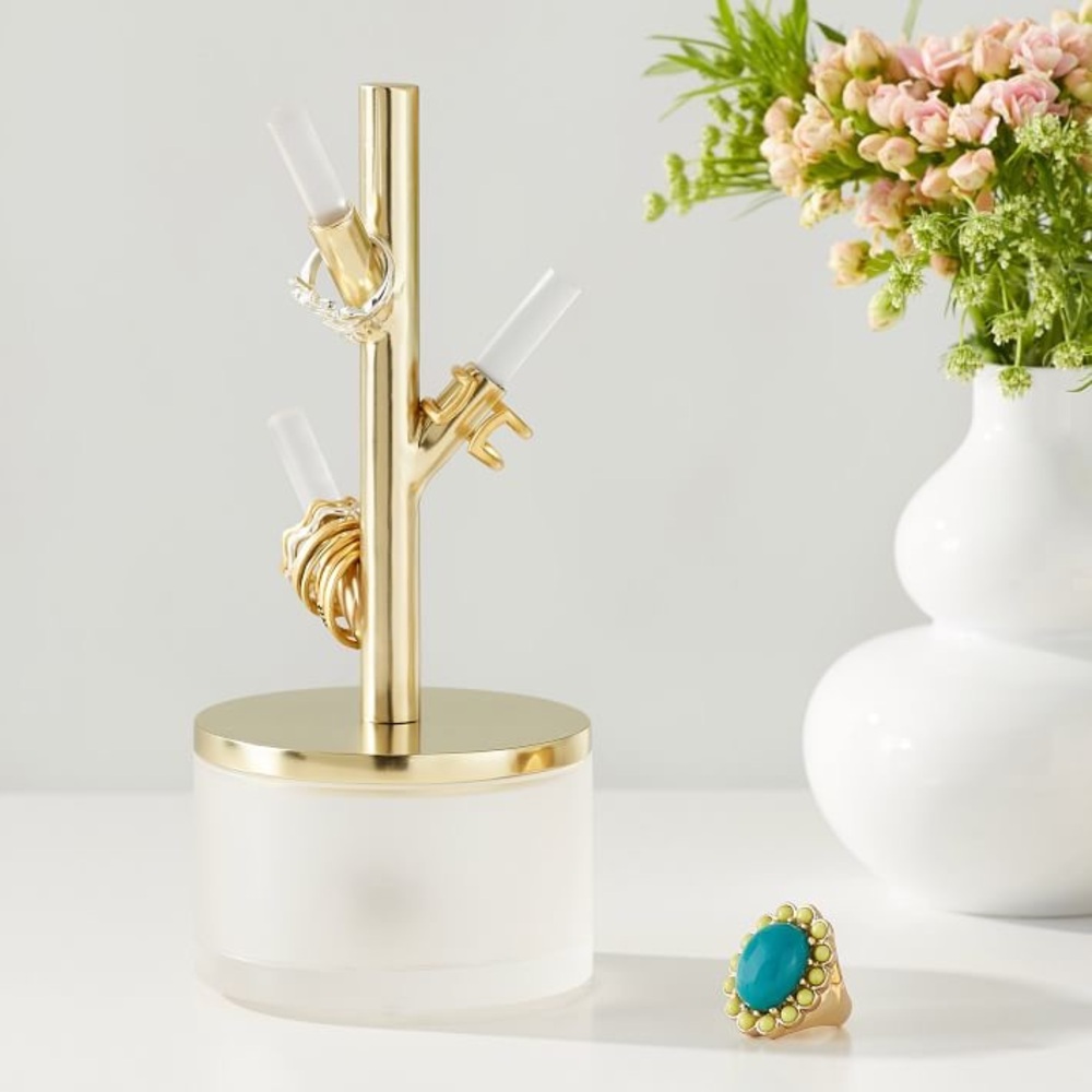ISO PBteen Ava Frosted Acrylic Ring Holder